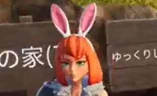 無手勝流 ぽこぴ丸